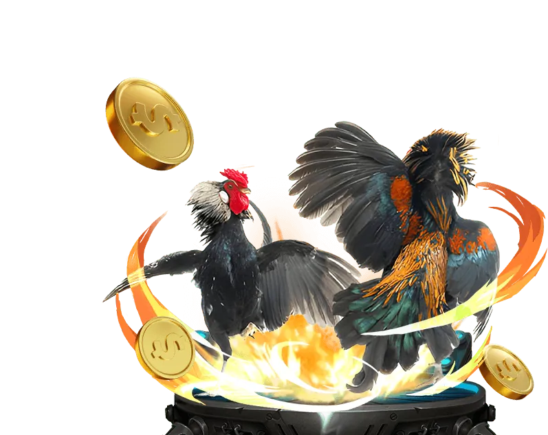 Tổng quan tài nguyên Bongdalu Fu